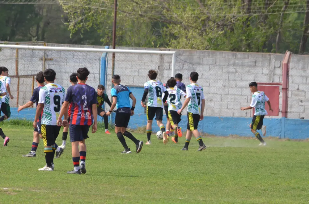 WhatsApp Image 2024-09-23 at 16.31.13 (11)