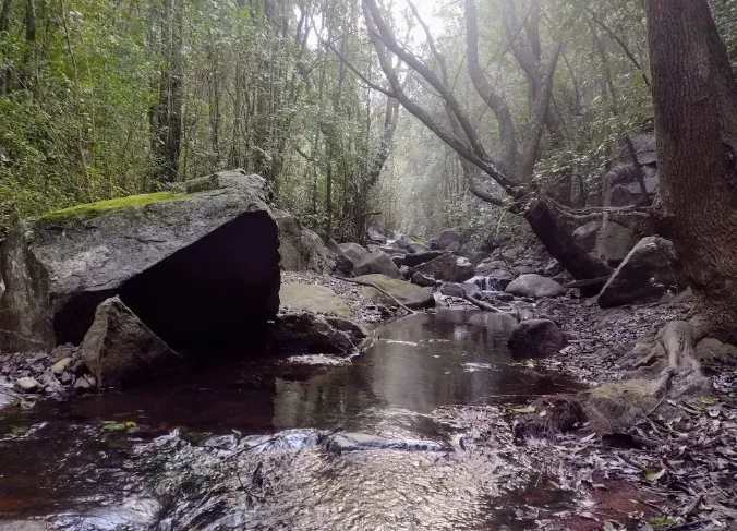 Captura de pantalla 2024-08-04 112033