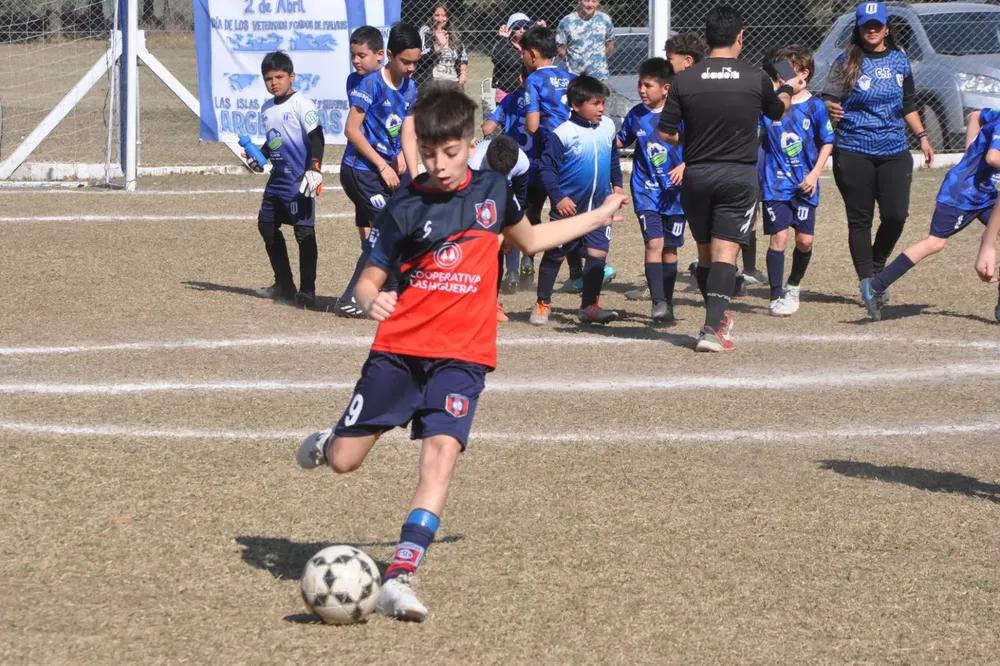 Centro Social Infanto Juvenil Renato Cesarini Olaeta Socialeritas (261)