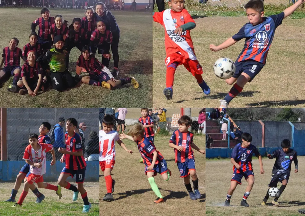 WhatsApp Image 2024-08-05 at 21.09.45