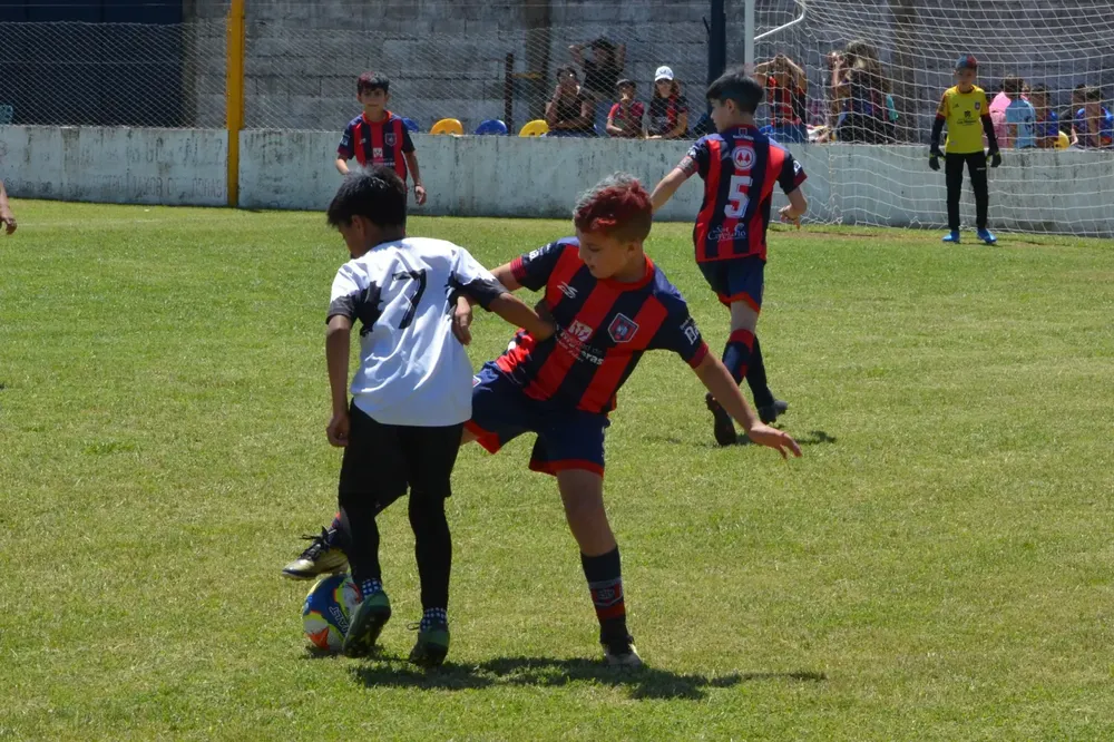 WhatsApp Image 2025-11-08 at 20.54.08 (2)