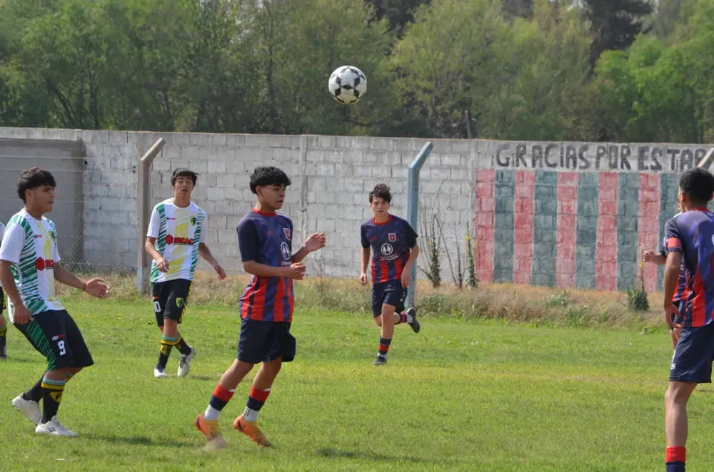 WhatsApp Image 2024-09-23 at 16.31.13 (1)