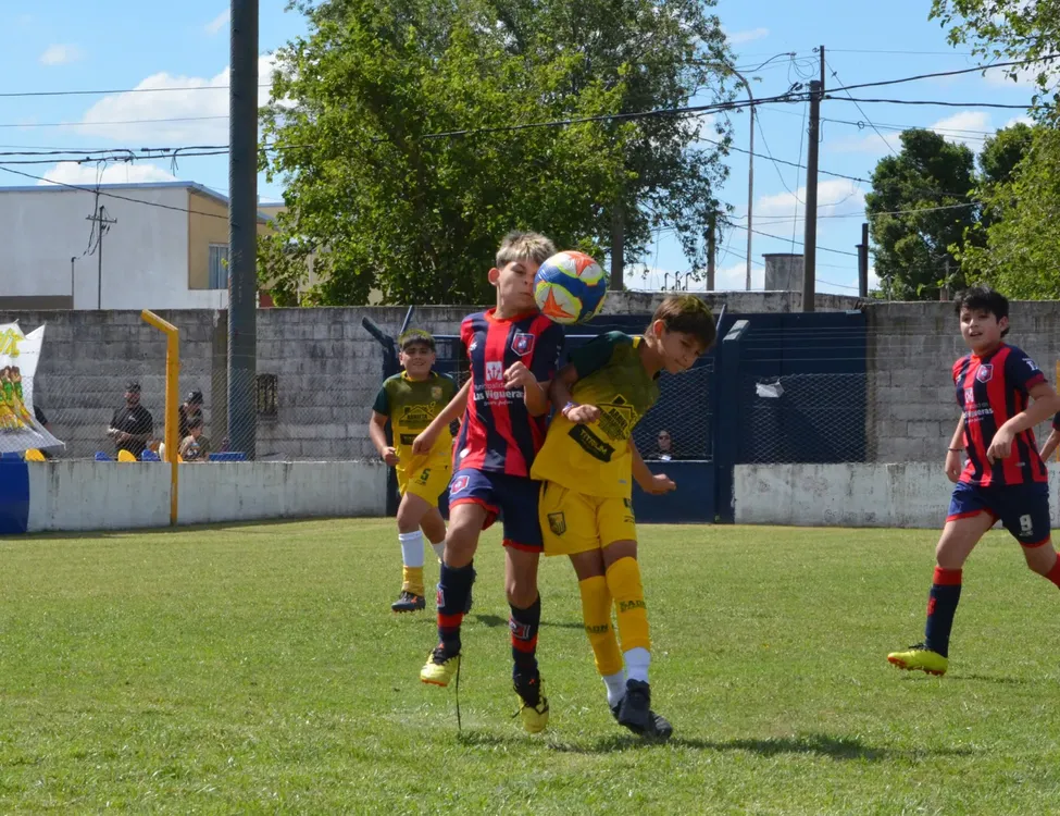 WhatsApp Image 2025-11-08 at 20.54.13 (1)