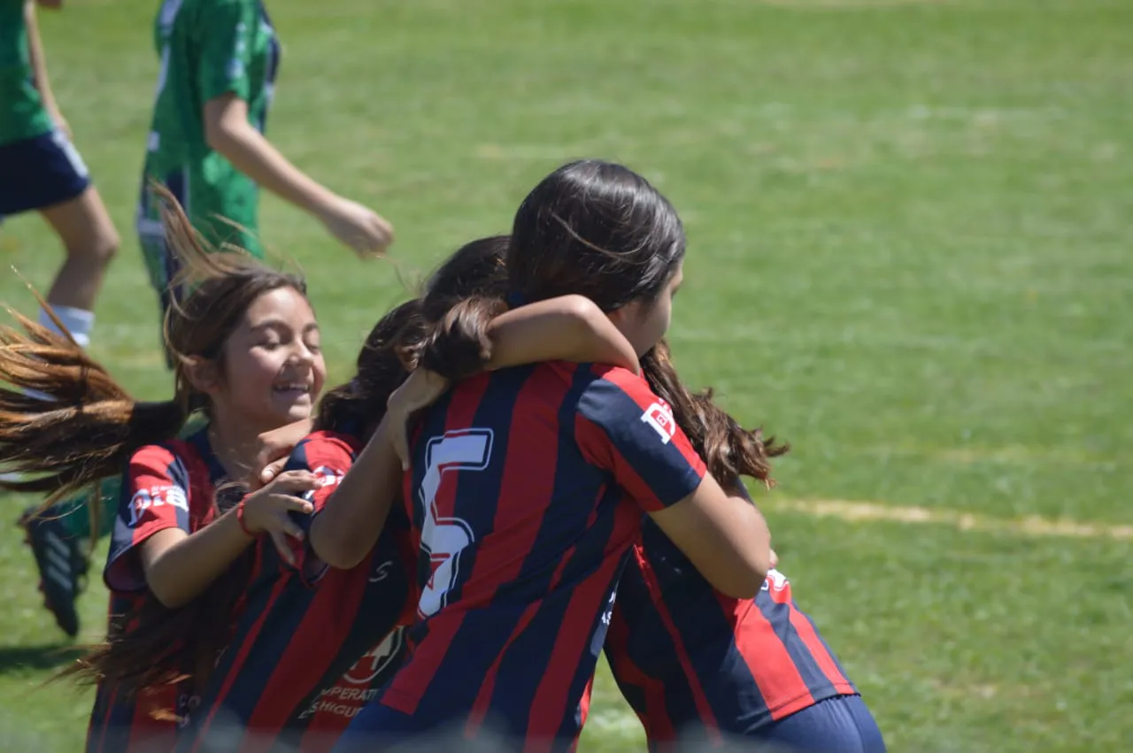 WhatsApp Image 2024-10-28 at 21.55.19