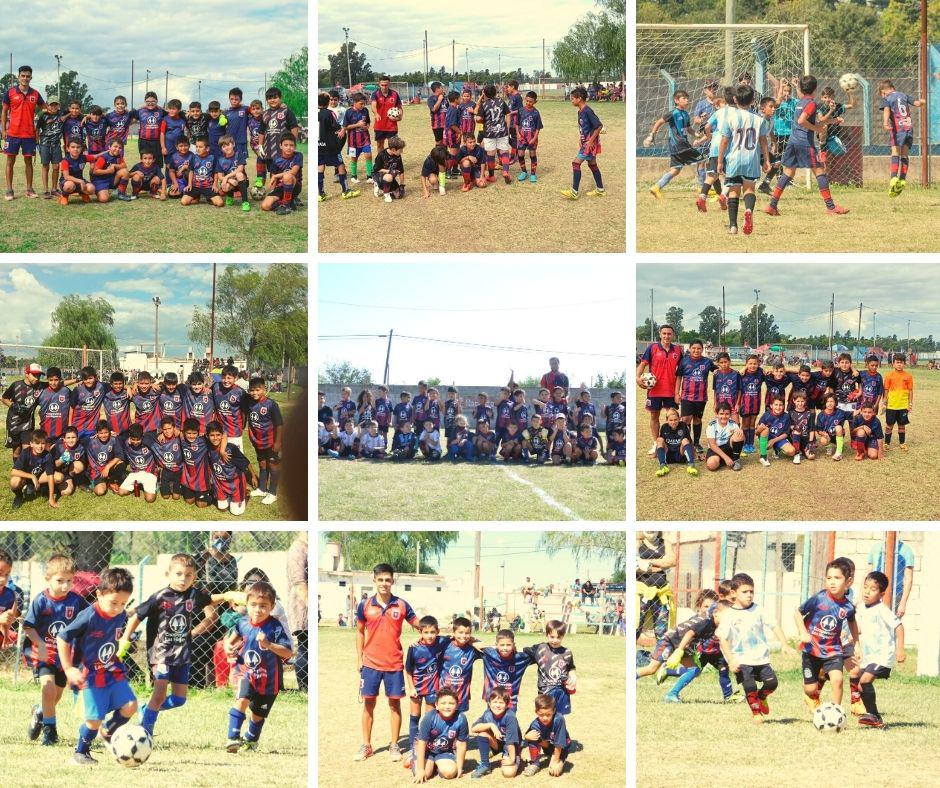 Copia de Collage coope