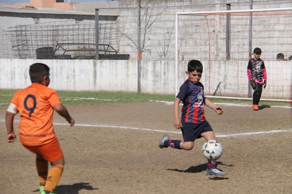 Centro Social Infanto Juvenil Renato Cesarini Olaeta Socialeritas (63)