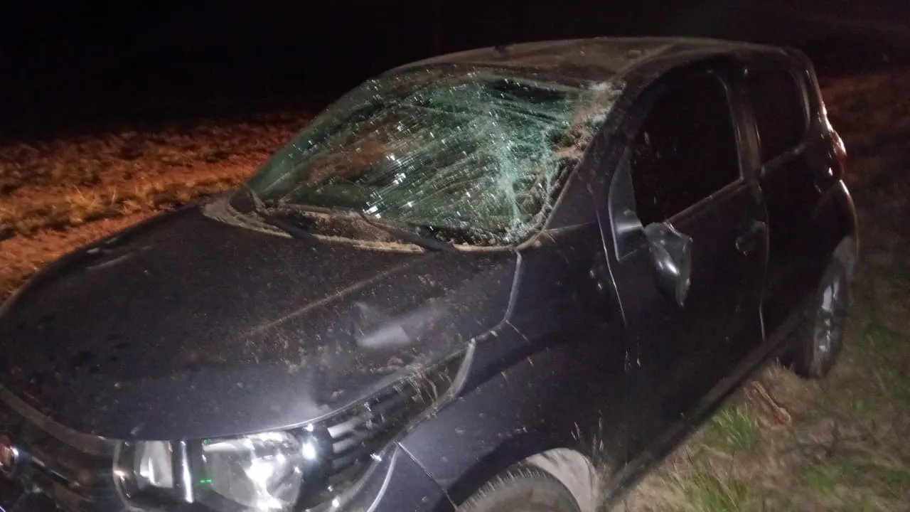 Imagen de WhatsApp 2025-09-13 a las 21.26.33_30b98176