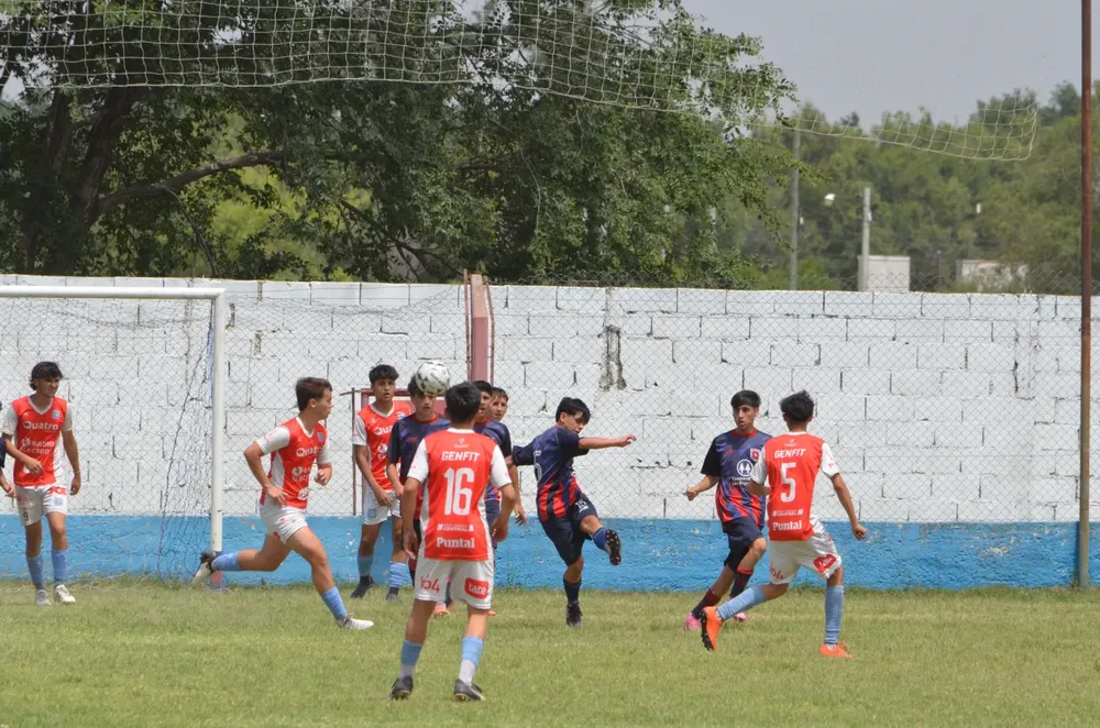 WhatsApp Image 2024-11-17 at 13.10.07