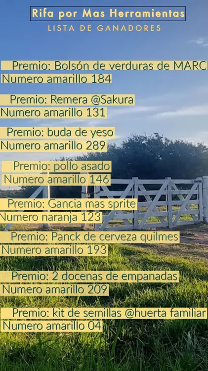 FERIA LOS GUARDIANES DEL ESPINAL (8)