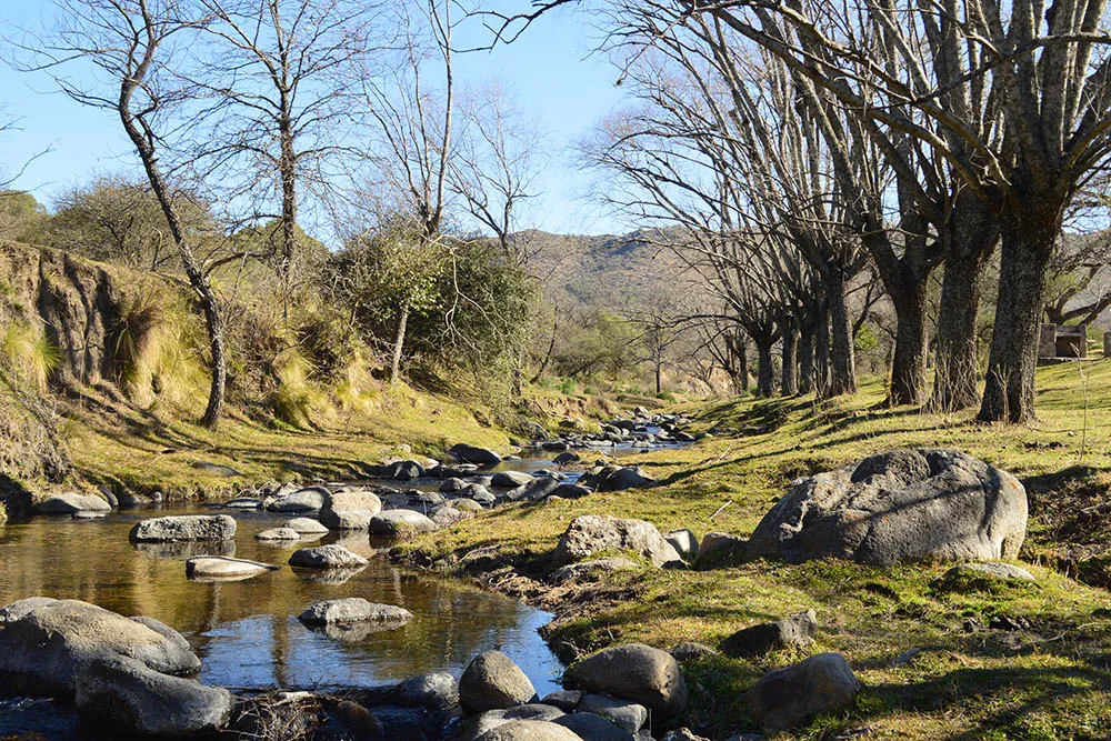 multimedia.normal.a0d52e7cc8054817.63616c6d61796f30303030345f6e6f726d616c2e4a5047