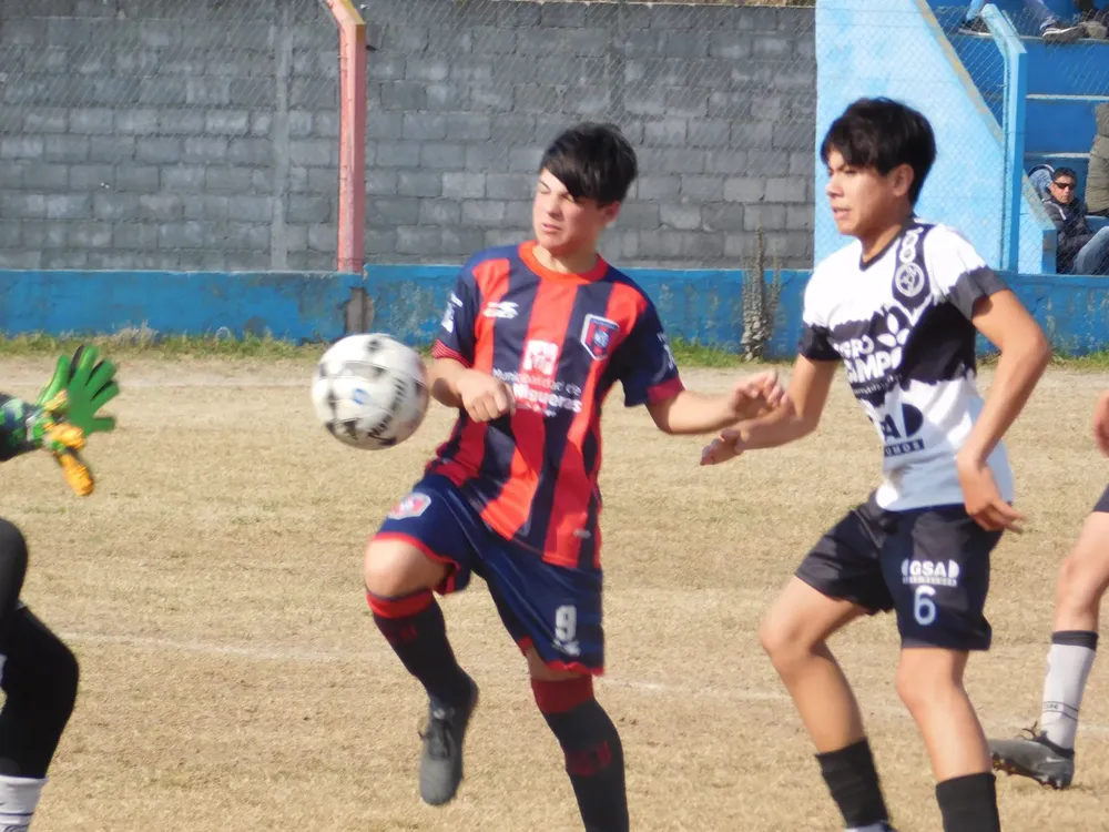 WhatsApp Image 2024-08-19 at 15.07.52 (12)