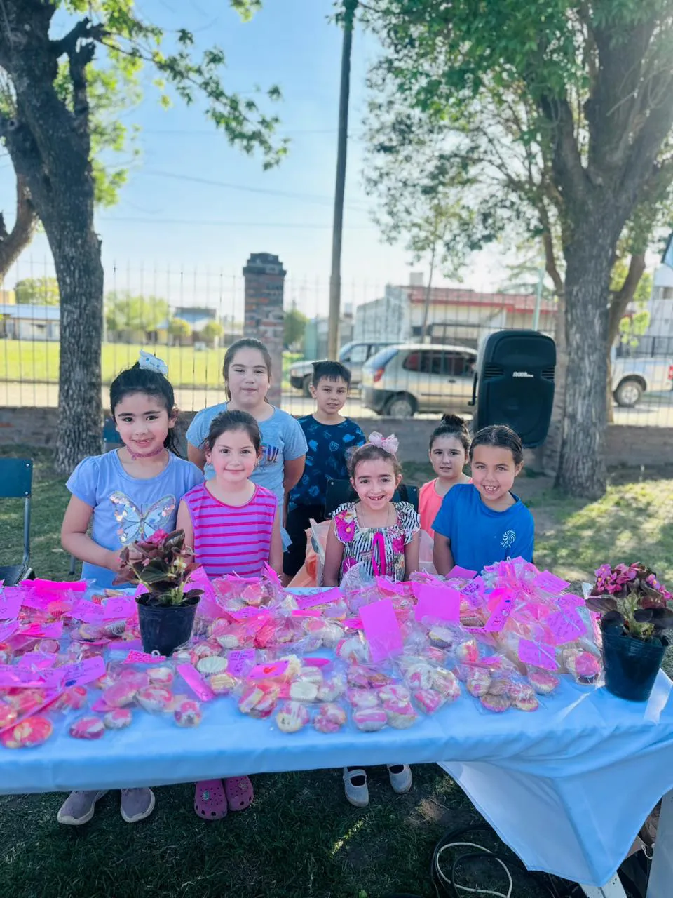 OCTUBRE ROSA PLAZA (11)