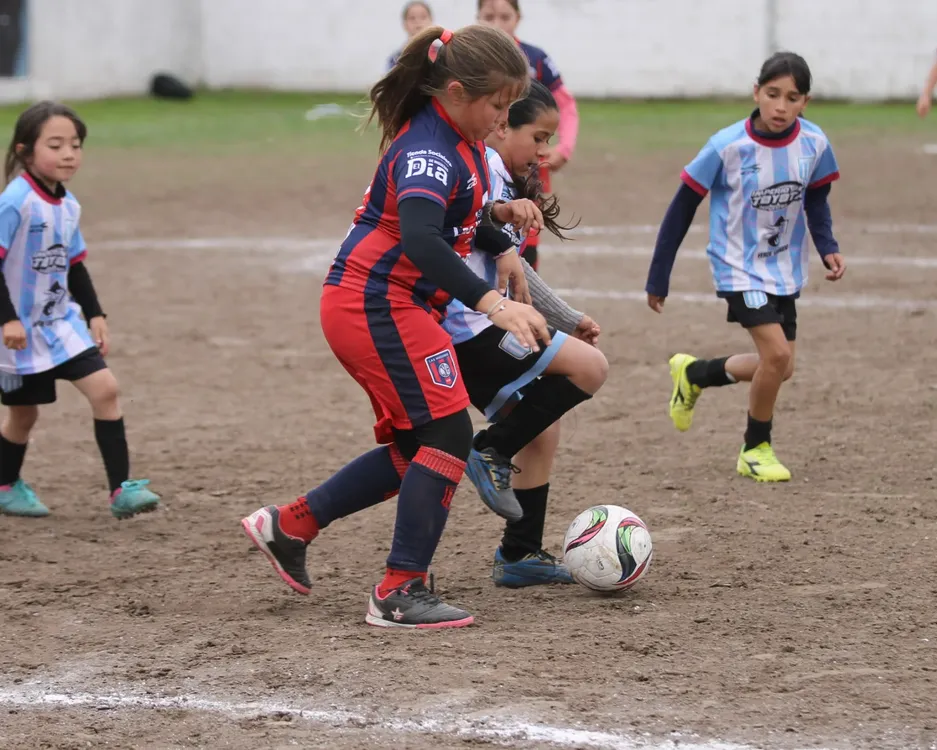SOCIALERITAS (6)