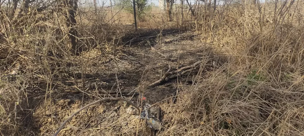 INCENDIOS