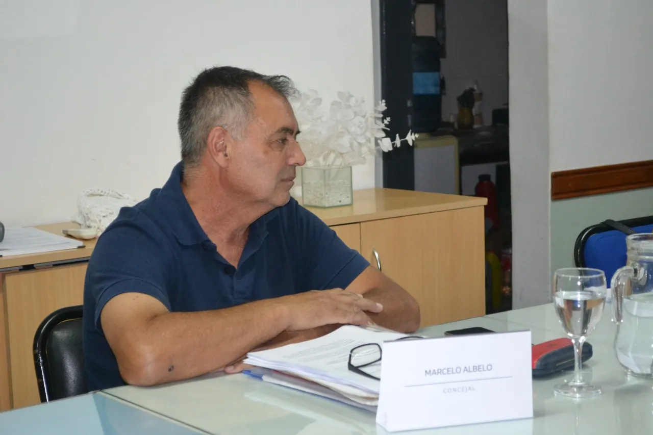 Concejo Deliberante (11)