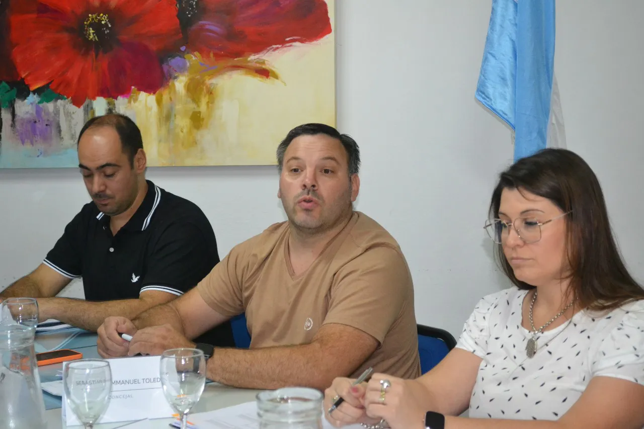 Concejo Deliberante (12)