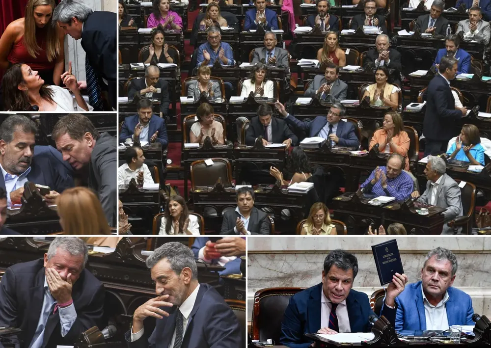 Copia de Copia de Copia de Copia de Infanto