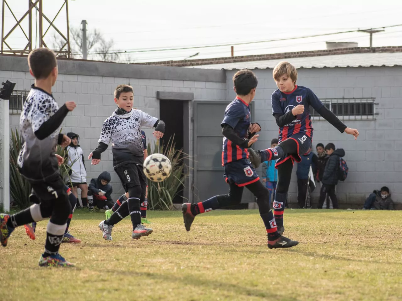 WhatsApp Image 2022-06-26 at 2.02.33 PM