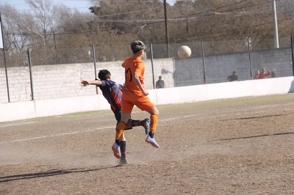 Centro Social Infanto Juvenil Renato Cesarini Olaeta Socialeritas (102)