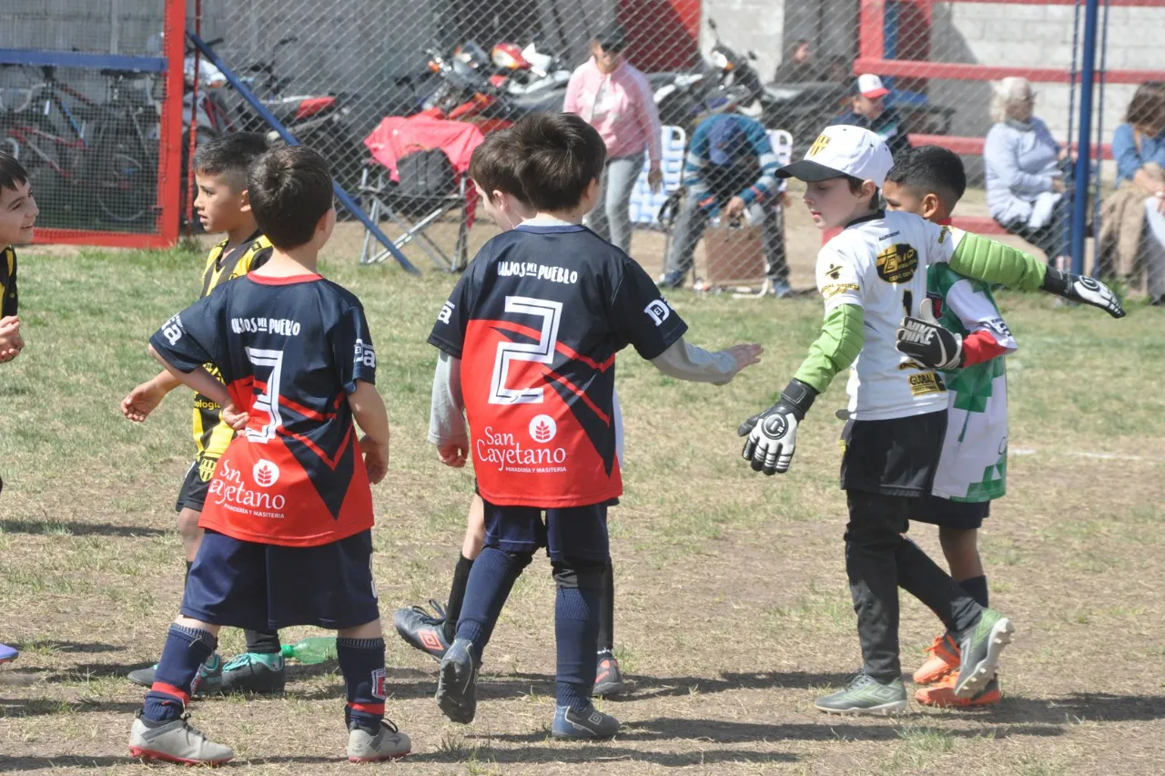 Centro Social Deportivo Municipal Acción Juvenil Socialeritas (13)