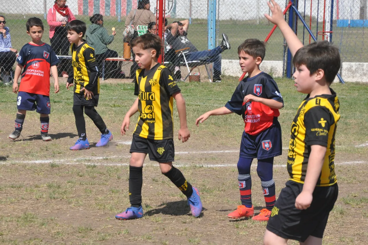 Centro Social Deportivo Municipal Acción Juvenil Socialeritas (90)