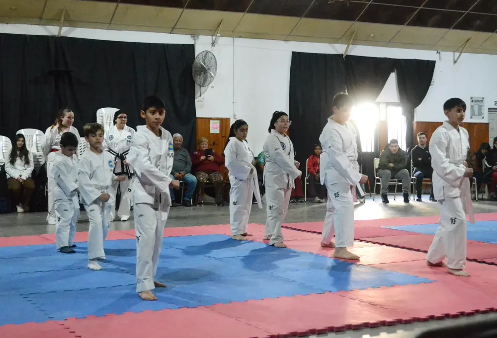 TAEKWONDO (3)