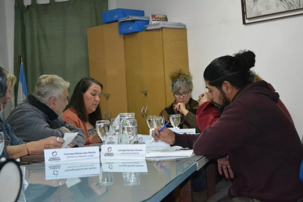 Concejo deliberante 13102022 (4)