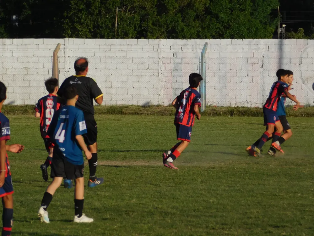 WhatsApp Image 2024-11-04 at 19.18.51 (8)