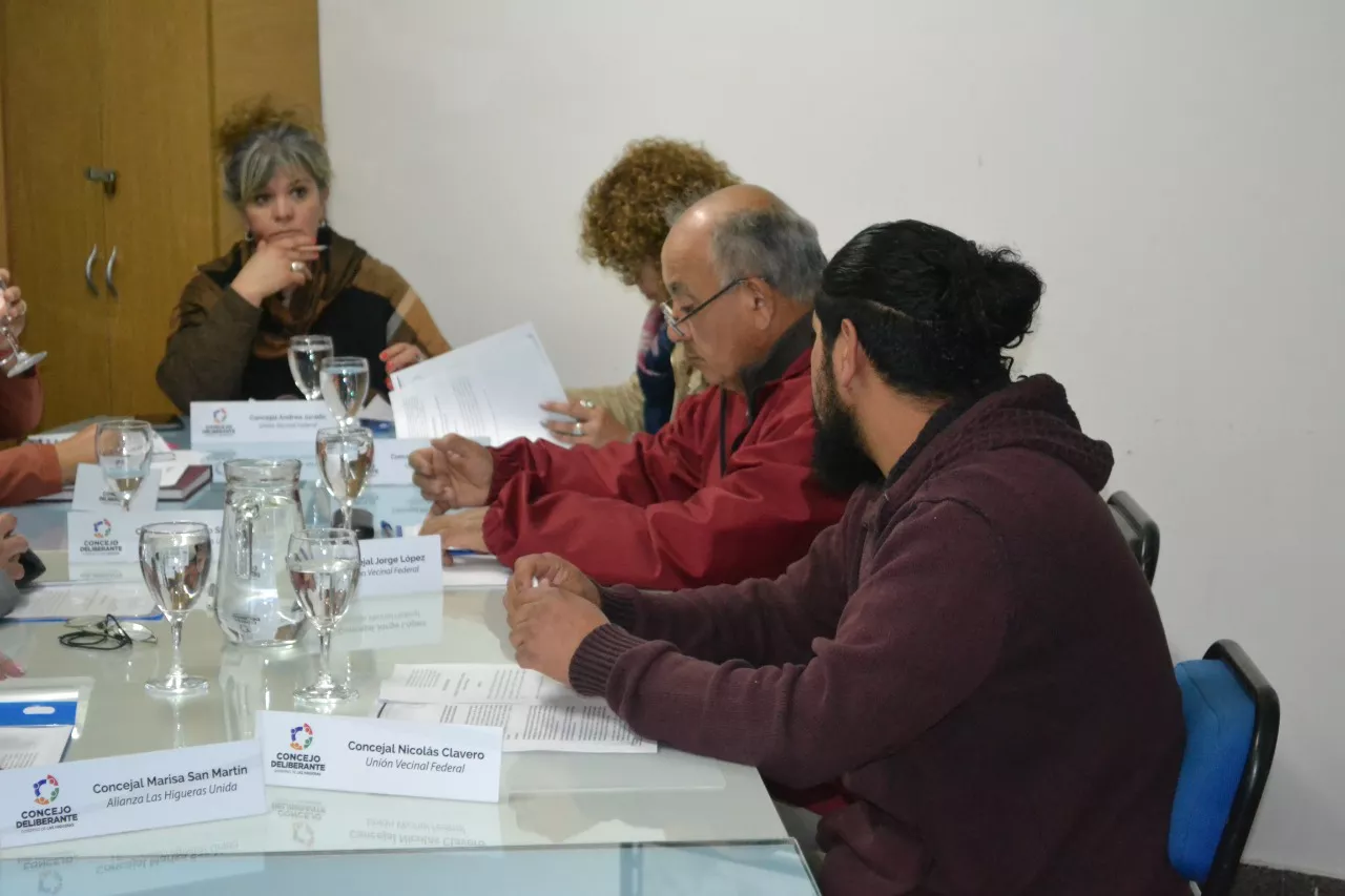 Concejo deliberante 13102022 (6)