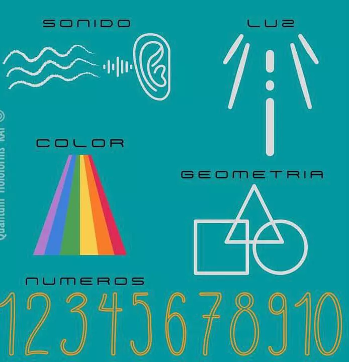 taller (2)