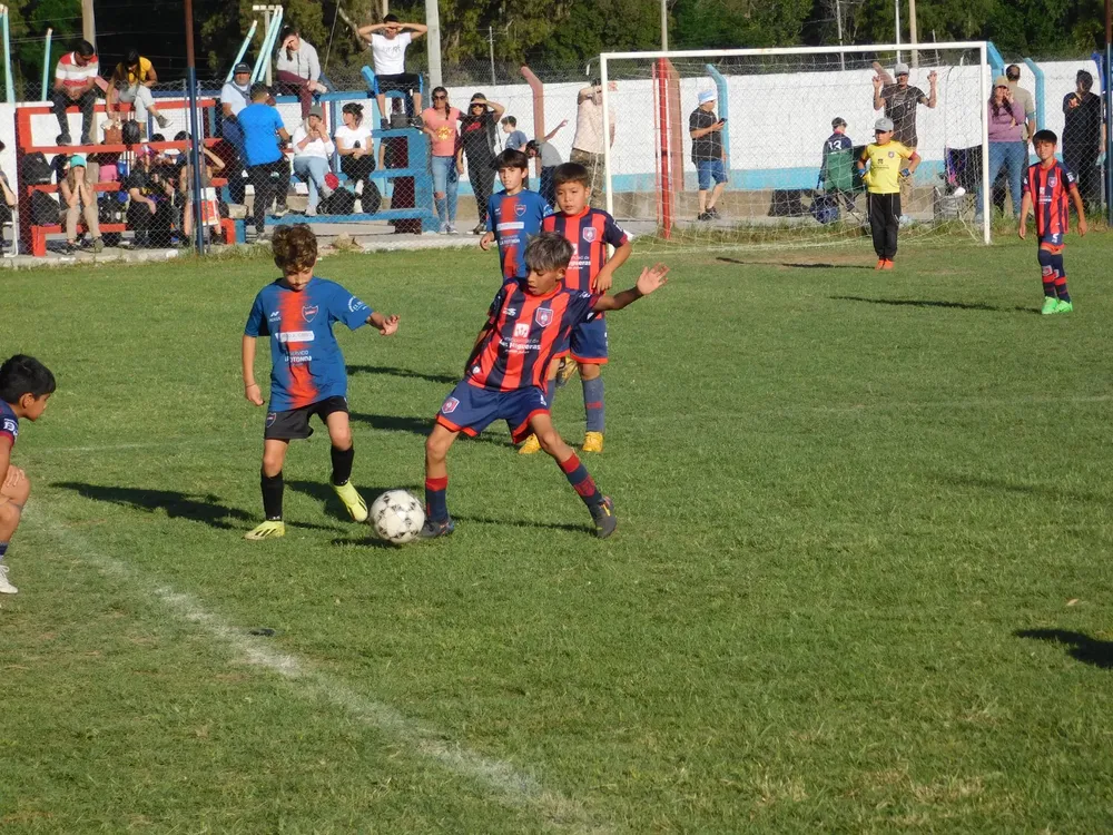 WhatsApp Image 2024-11-04 at 19.12.47 (20)