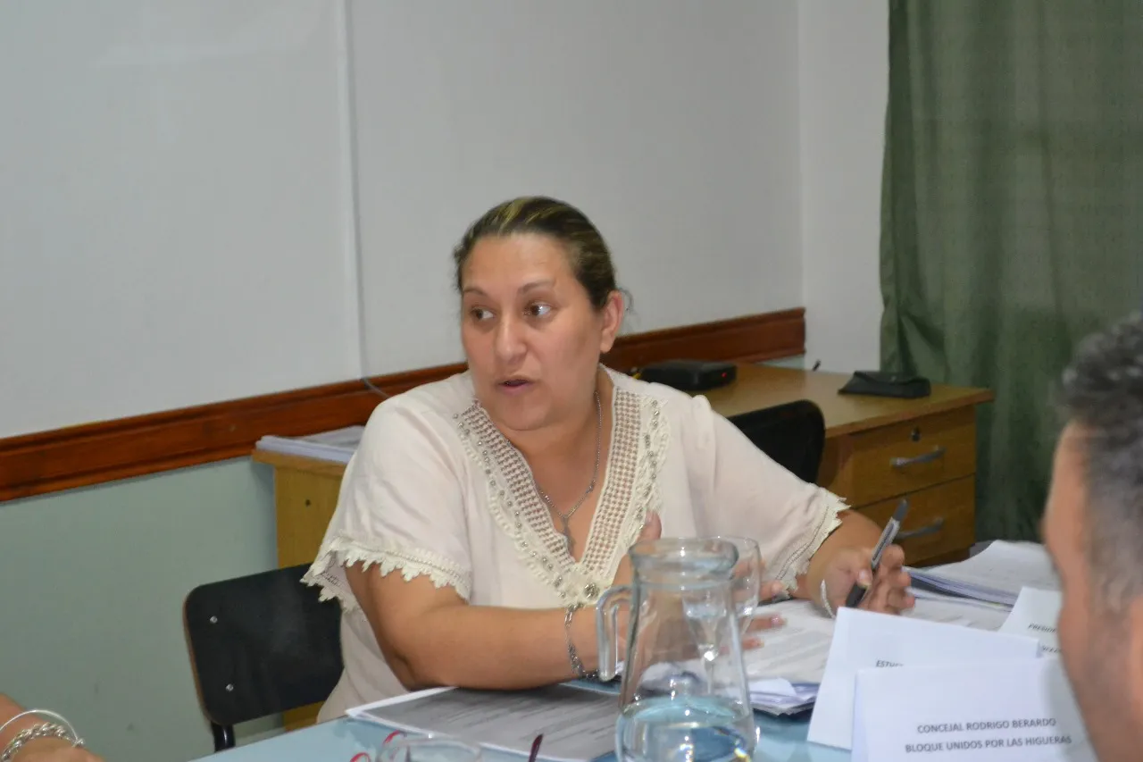 Concejo Deliberante Las Higueras  (15)