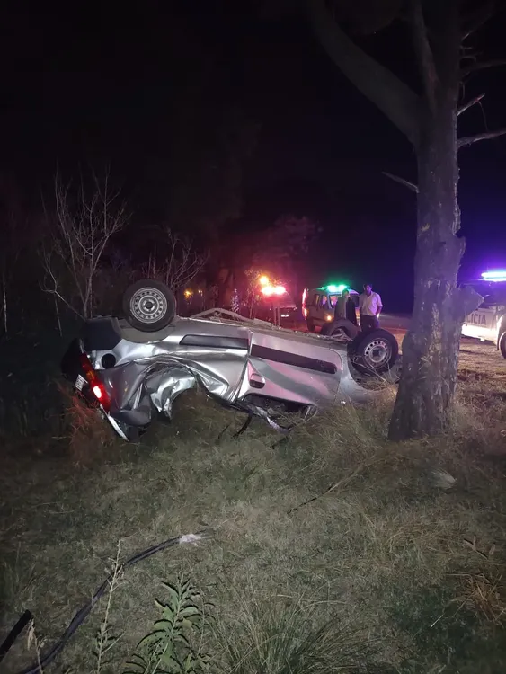 347556369_6401979856587391_8585814162521599771_n