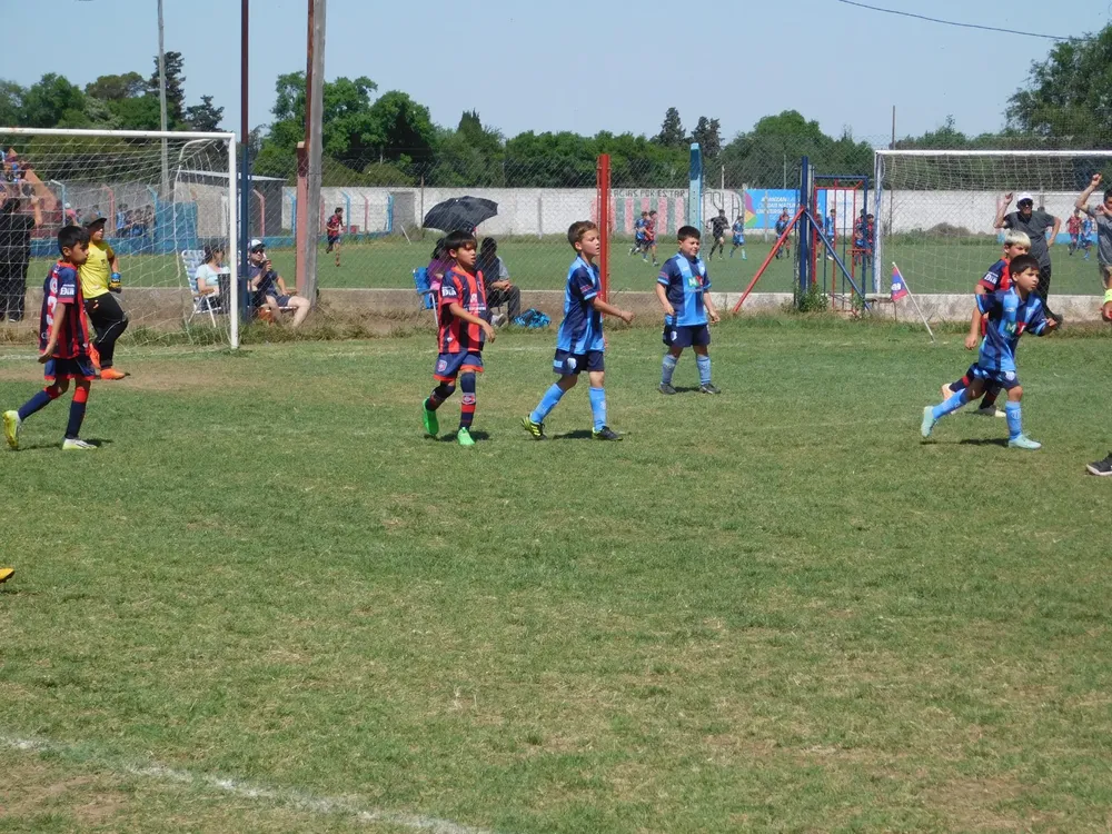 WhatsApp Image 2024-10-12 at 11.13.06 (26)