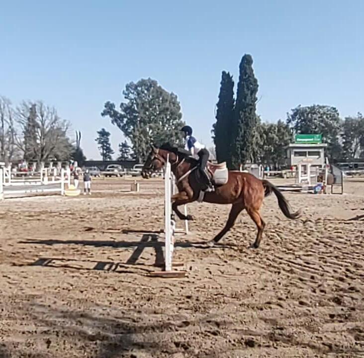 ANTO2