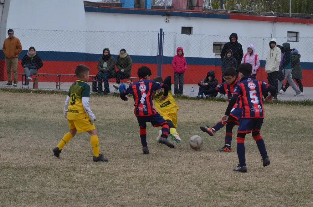 IMG-20250629-WA0068