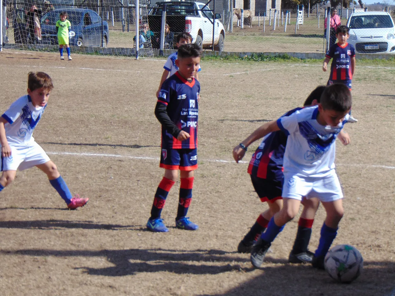 9189016e84bf48baa769e87a550b072e