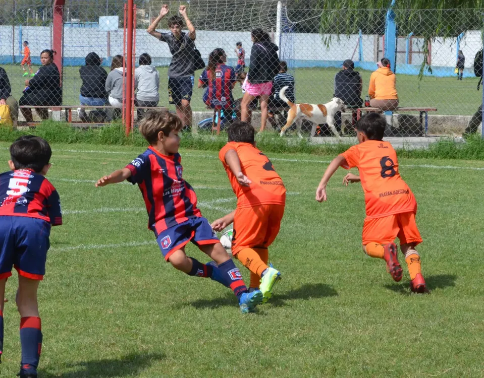 WhatsApp Image 2025-03-31 at 16.38.32 (10)