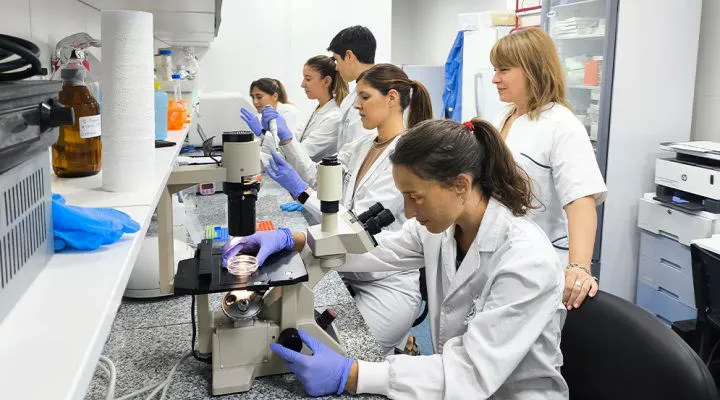 chagas conicet Rosario