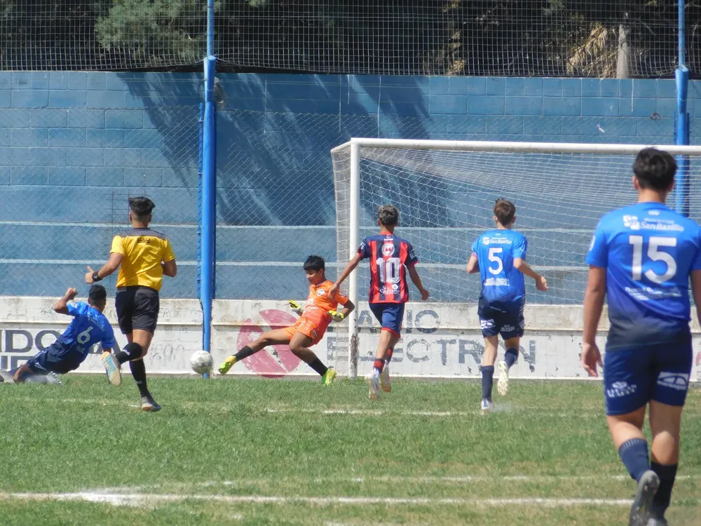 WhatsApp Image 2024-09-23 at 16.49.21 (13)