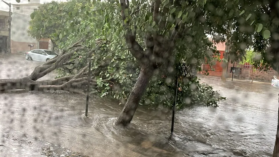 480792112_658786439992730_322072100622156605_n