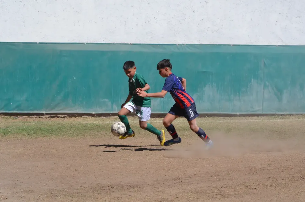 WhatsApp Image 2024-09-16 at 20.49.14