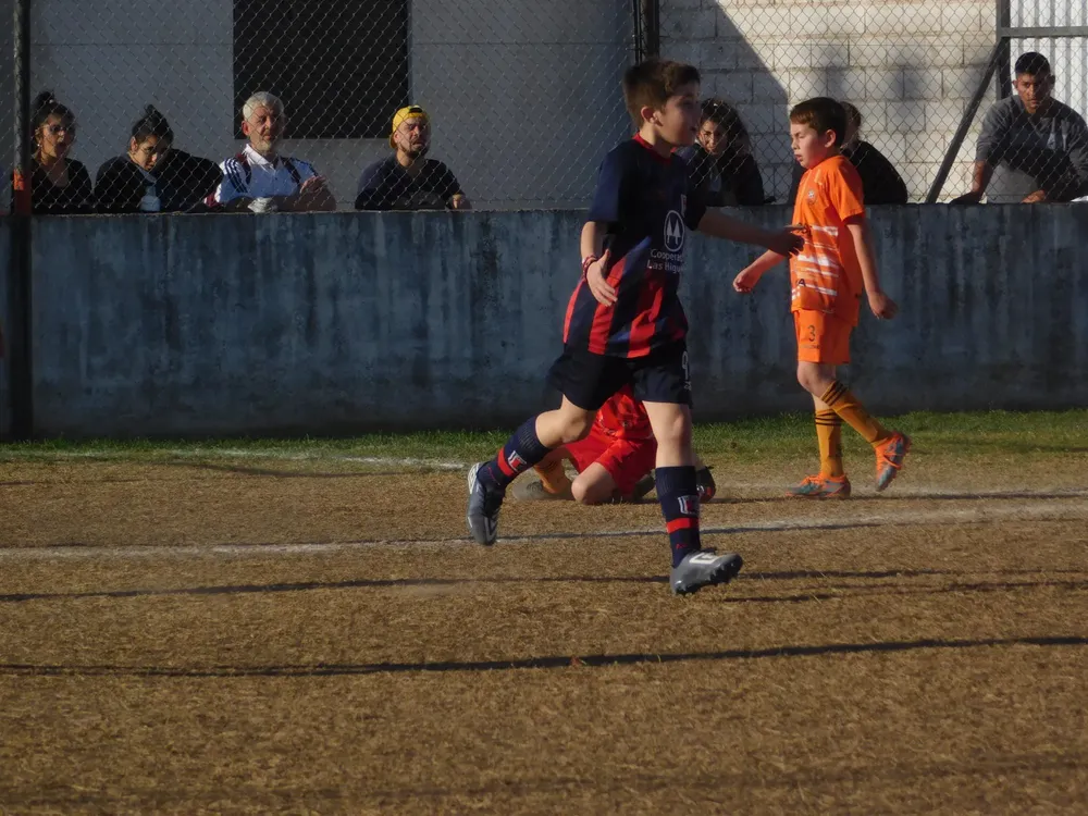 Centro Social Infanto Juvenil Renato Cesarini Olaeta Socialeritas (181)