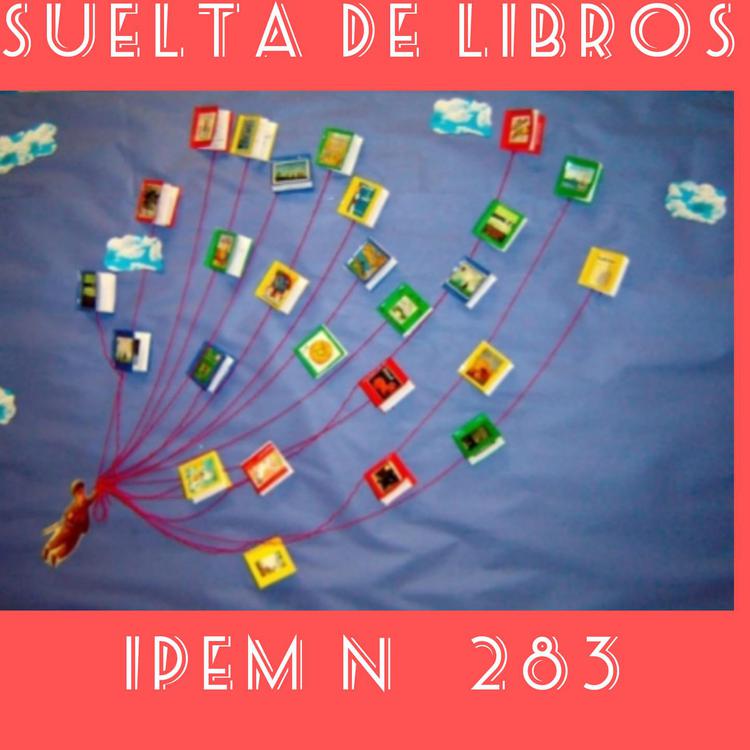 SUELTA DE LIBROS (6)
