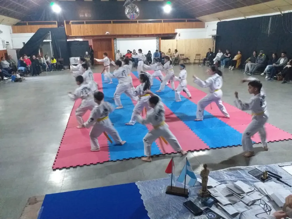 EXAMENES TAEKWONDO (6)