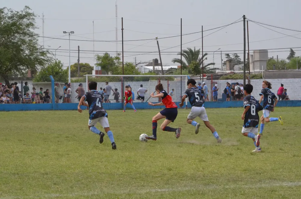 WhatsApp Image 2024-11-17 at 13.10.23 (11)