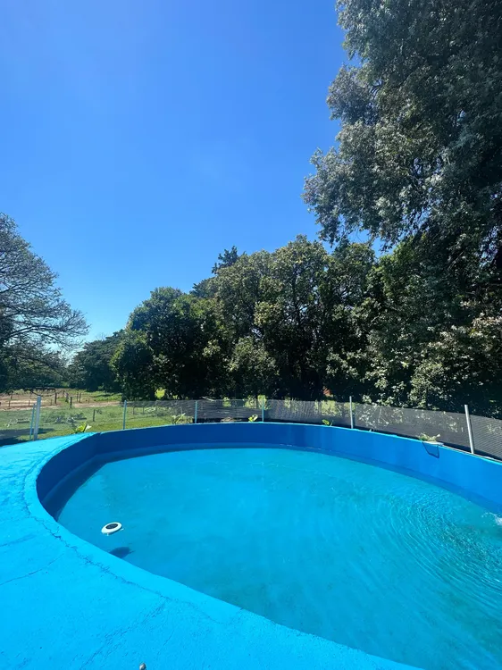 EQUINOTERAPIA Y MONTA (14)