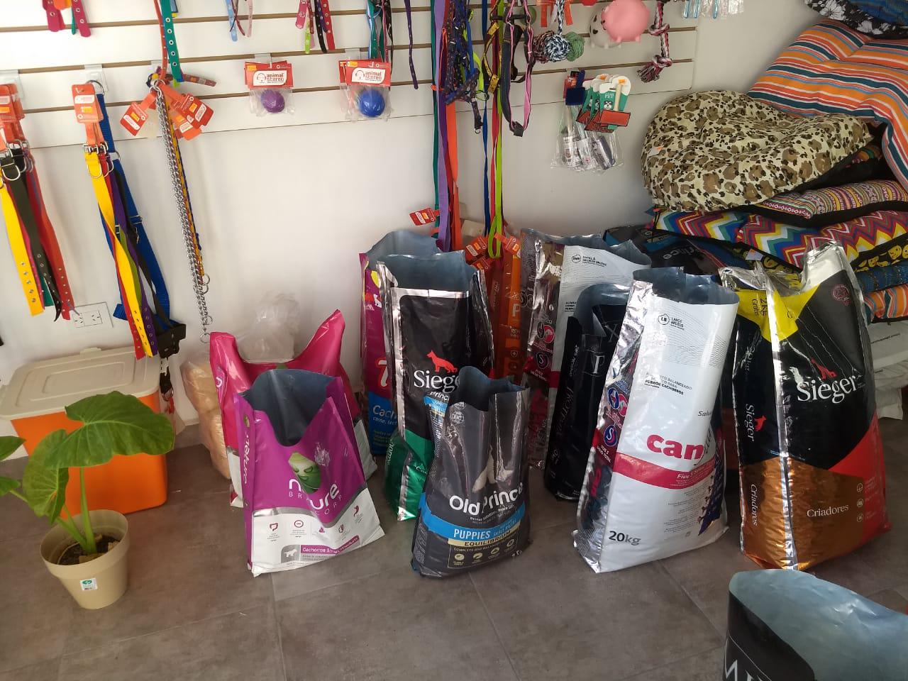 NICOLÁS VETERINARIA (3)