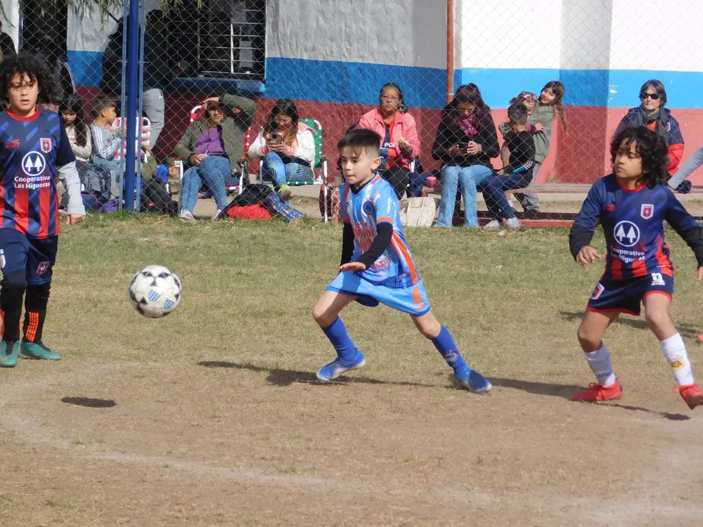 Centro Social Las Higueras Infanto Juvenil Ateneo Vecinos (215)