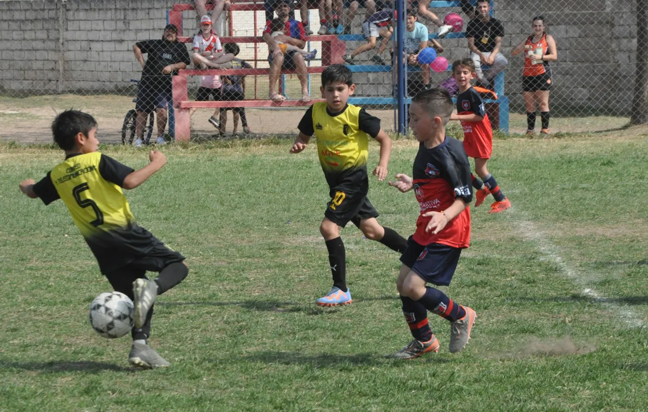 Centro Social Banda Norte B Correos y Telecomunicaciones (121)